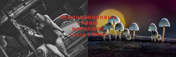 ПСИЛОЦИБИНОВЫЕ ГРИБЫ Навашино