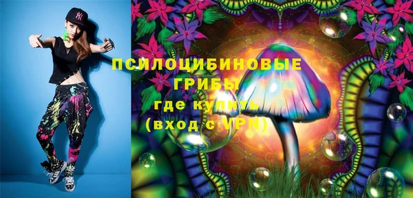 ПСИЛОЦИБИНОВЫЕ ГРИБЫ Навашино