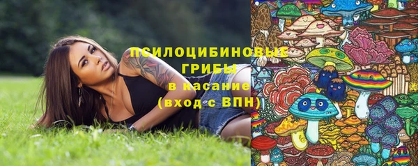 дмт Медногорск