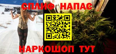 спиды Гатчина