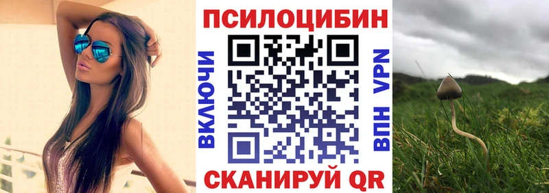 Псилоцибиновые грибы Magic Shrooms  закладки  МЕГА ссылки  Пермь 
