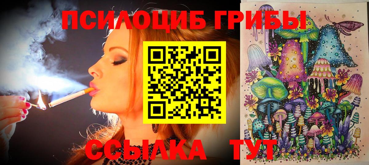 Галлюциногенные грибы Magic Shrooms  Вход с VPN  Пермь  Псилоцибиновые грибы прущие грибы 