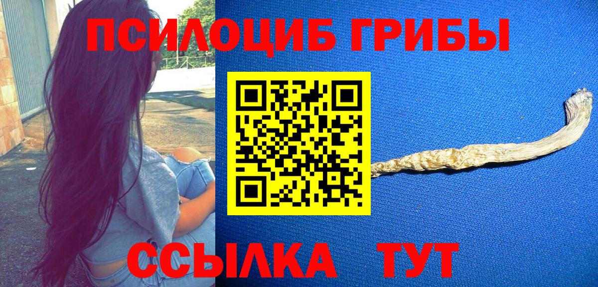 Галлюциногенные грибы прущие грибы  Пермь 